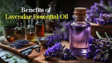 Benefits of Lavender Essential Oil